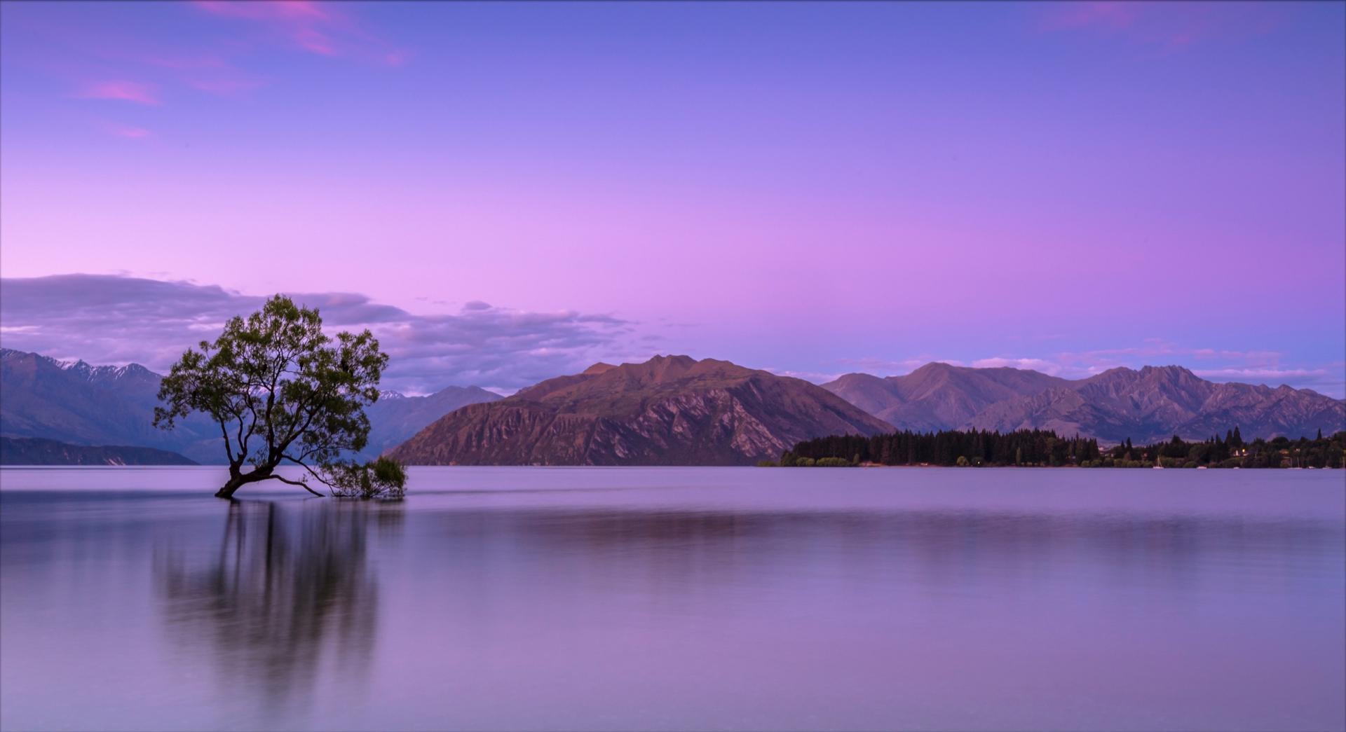 Discover all 
our opportunities